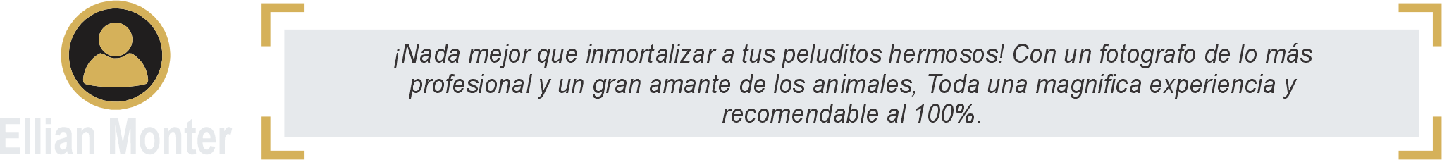 COMENTARIO 6